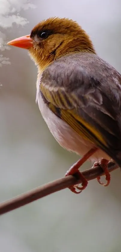 A bird perched on a branch in a serene, natural setting.