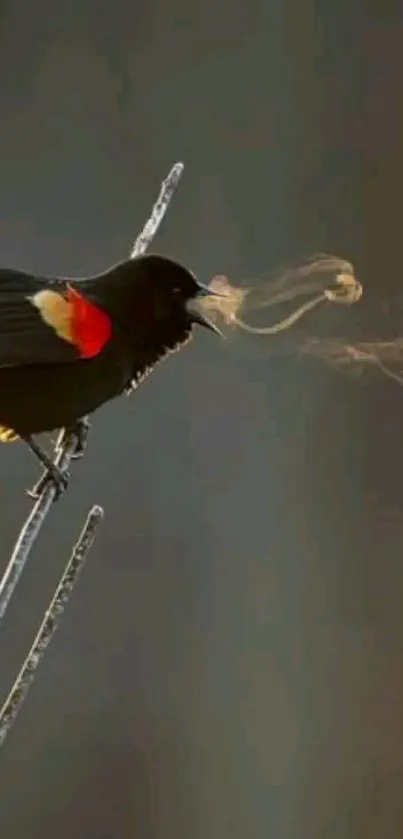 Silhouette of a bird perched on frosty branches in a dark, atmospheric scene.