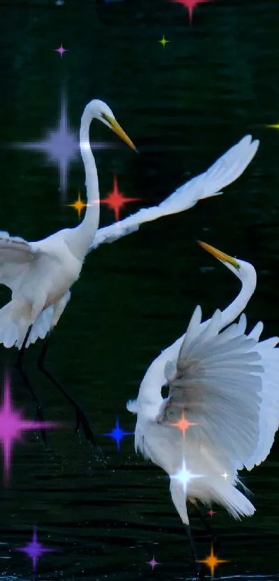 Two elegant white birds in flight over dark water.