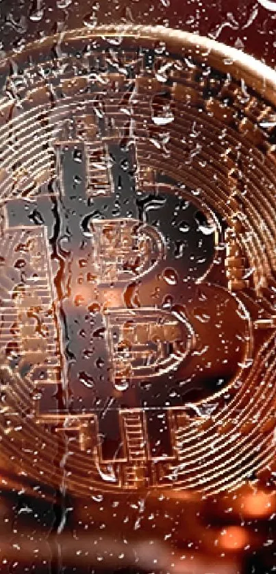 Bitcoin coin design in copper hues creates a rich, elegant mobile wallpaper.