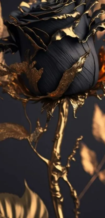 Black rose with gold accents on elegant wallpaper.