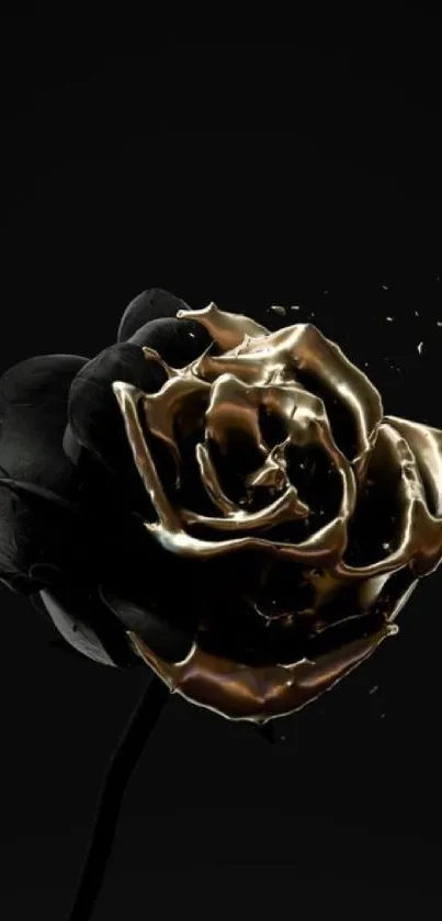 Black rose with gold accents on a dark background.