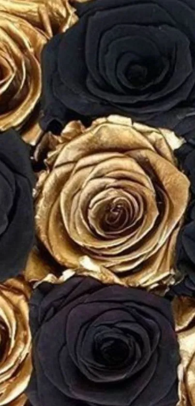 Elegant black and gold roses phone wallpaper.