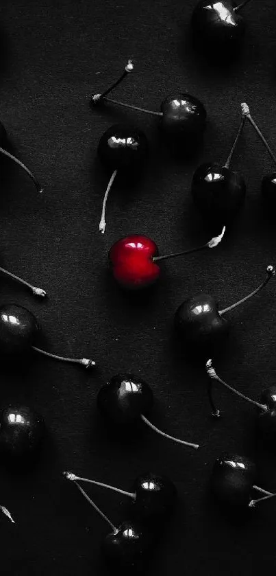 Black cherries with one red cherry against a dark background.