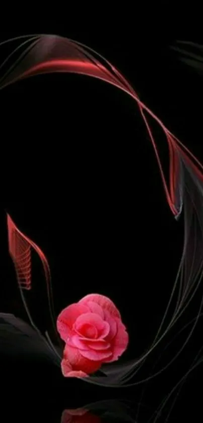 Abstract black and red rose wallpaper for phone.