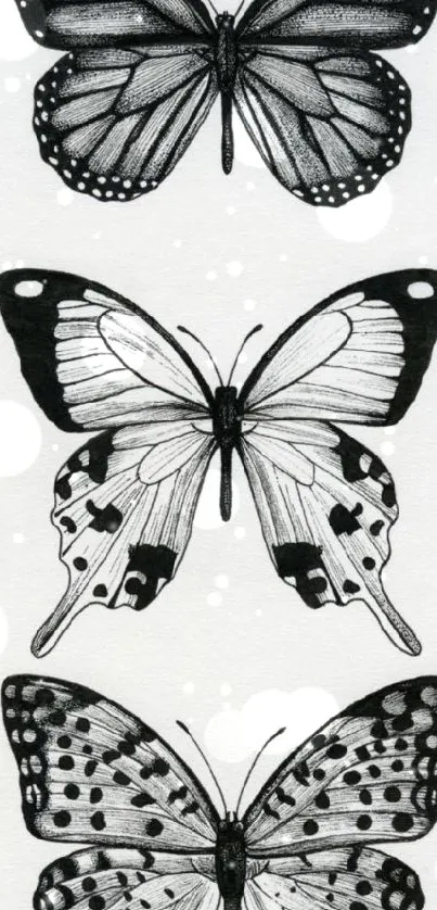 Intricate black and white butterfly sketch on a mobile wallpaper.