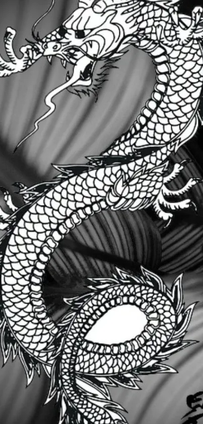 Black and white dragon with intricate scales on a gray background.