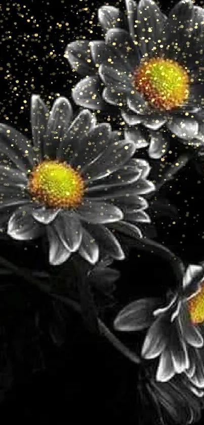 Elegant black and white daisy wallpaper with vibrant yellow centers on a black background.