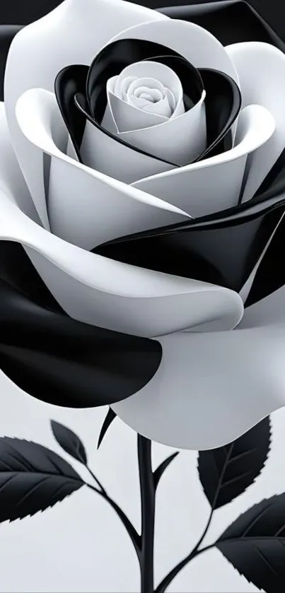 Black and white rose with elegant design.