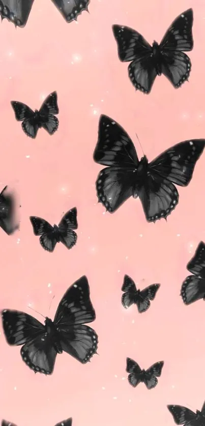 Black butterflies on a light pink background mobile wallpaper.