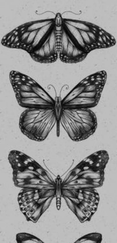 Monochrome butterfly illustration on gray background for mobile wallpaper.