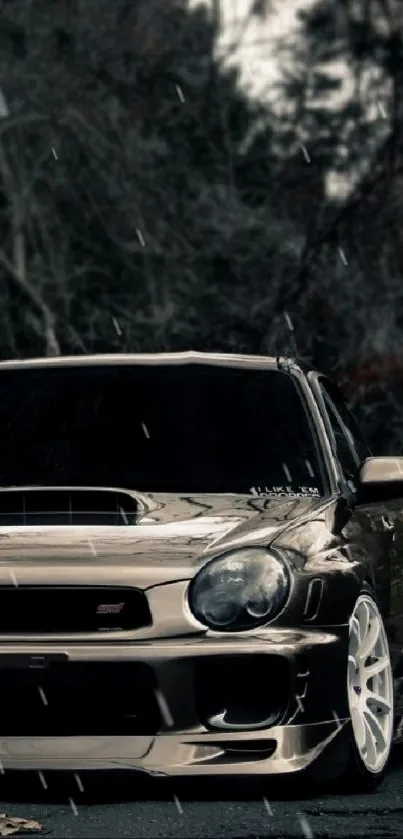 Stylish black car against dark trees background.