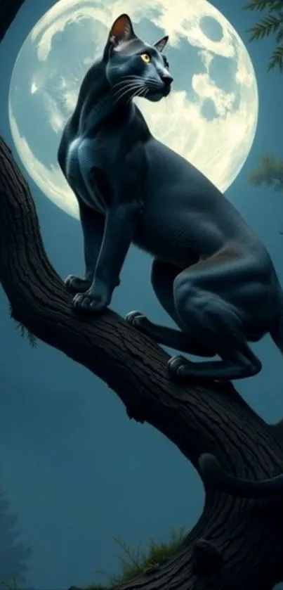 Black cat on tree branch with full moon backdrop at night.