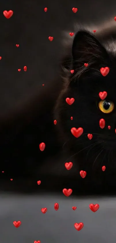 Black cat with yellow eyes on a dark background.