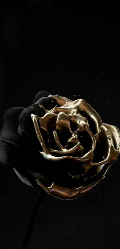 Black rose with gold accents on a dark background.