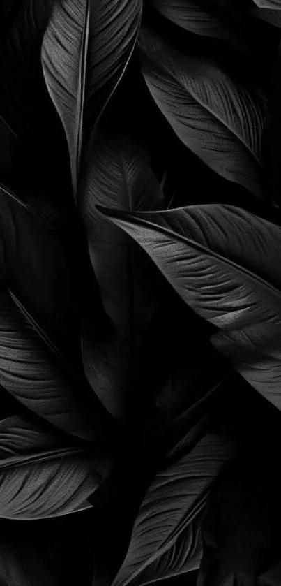 Elegant black leaf art wallpaper design.