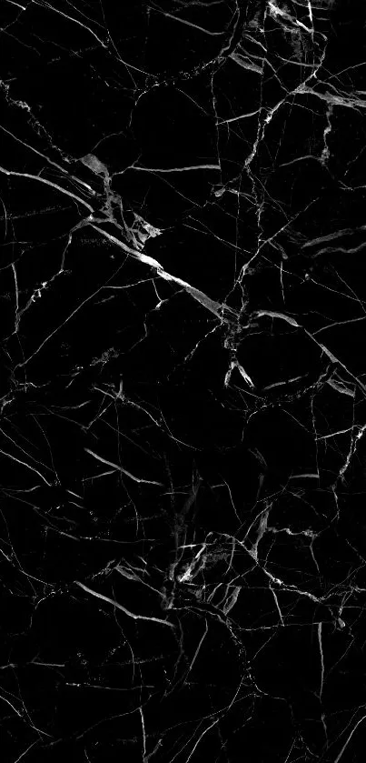 Sophisticated black marble wallpaper with intricate white veins.