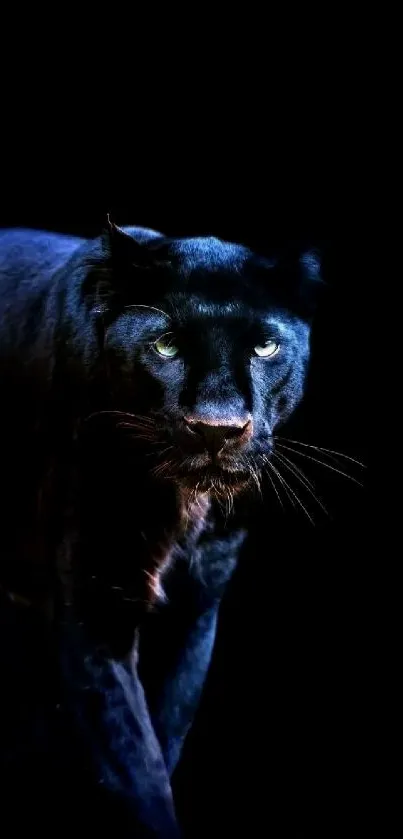 Elegant black panther on a dark background, perfect for mobile wallpaper.