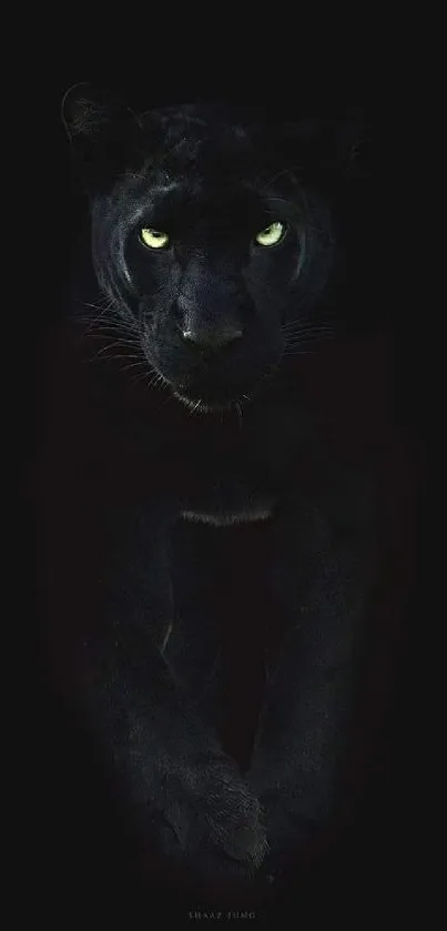 Dark black panther with glowing eyes against a black background.