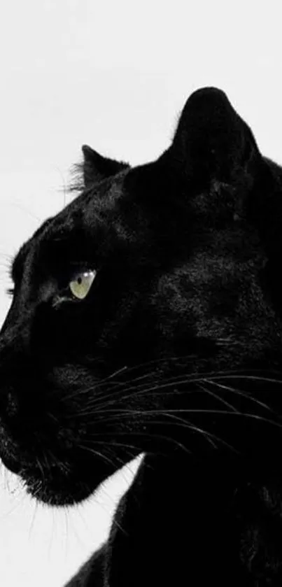 Close-up of a black panther's face in a sleek and elegant mobile wallpaper.