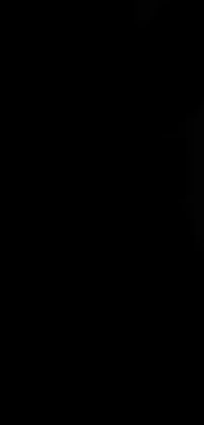 Elegant black smartphone wallpaper with a minimalistic design.
