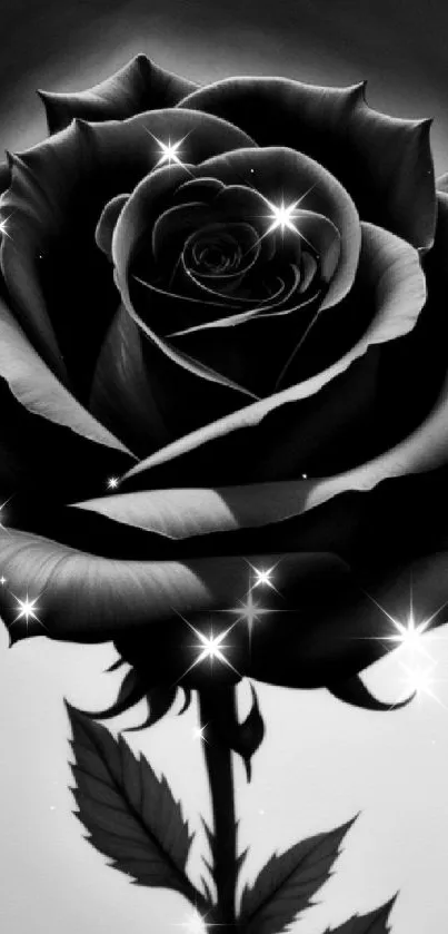 Elegant black rose artwork with intricate details on a mobile wallpaper.