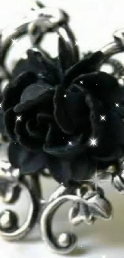 Elegant black rose with sparkling details on a decorative background.