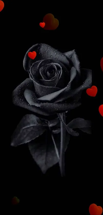 Black rose with red hearts on black background wallpaper