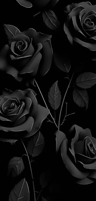 Elegant black roses on a dark background.