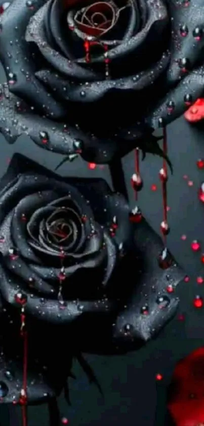 Elegant black roses with red droplets.