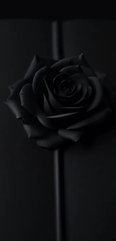 Dark elegant black rose wallpaper on mobile.