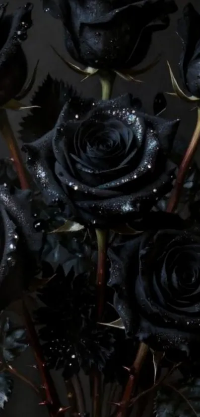 Black roses with dewdrops in elegant arrangement.