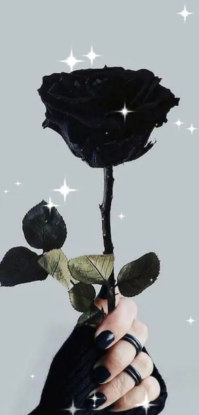 Stylish black rose held by hand against gray background.