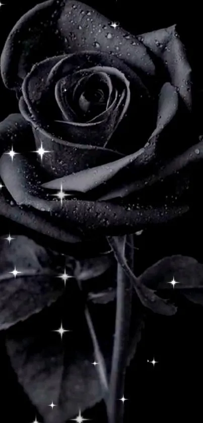 Elegant black rose with dewdrops, perfect for mobile wallpaper.