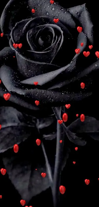 Elegant black rose wallpaper with water droplets.