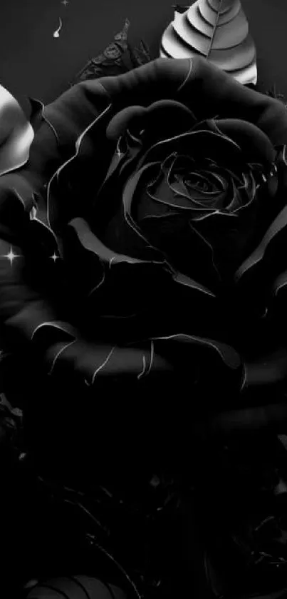 Monochrome black rose with elegant design on a dark background.