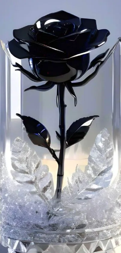 Elegant black rose in a clear vase, surrounded by decorative elements.