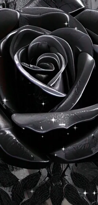 Black rose with elegant design and dark petals for mobile wallpaper.