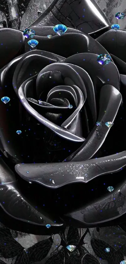 Elegant black rose wallpaper with water droplets on petals.