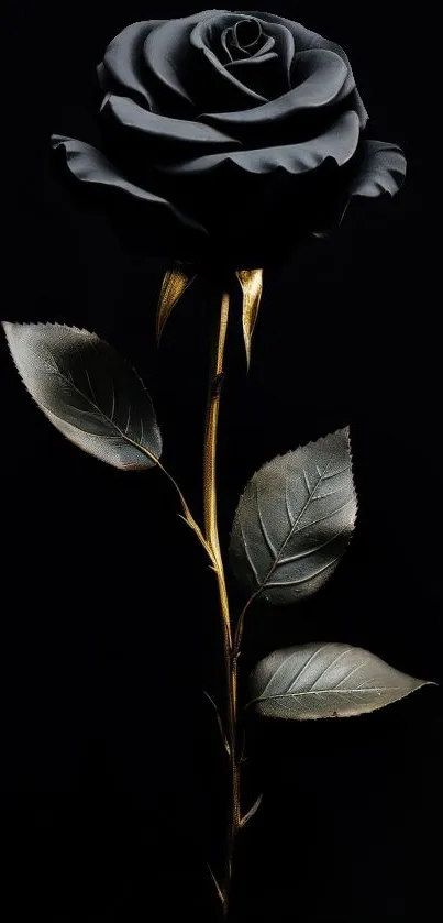 Elegant black rose with golden stem on dark background.