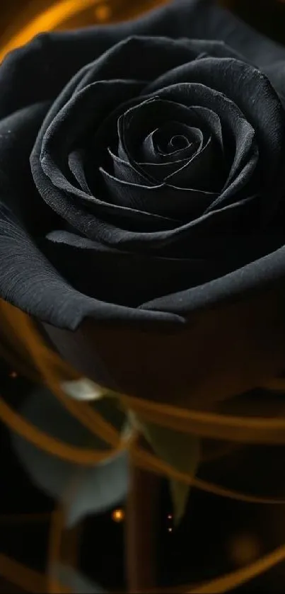 Elegant black rose with gold accents on a mobile wallpaper.