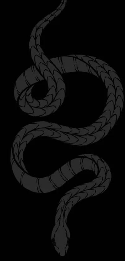 Elegant black snake design on dark background mobile wallpaper.