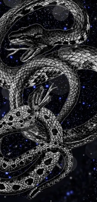 Stylish black snake on a starry background.