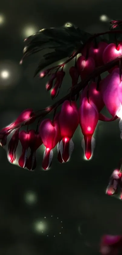 Bleeding heart flowers with glowing lights on a dark background.