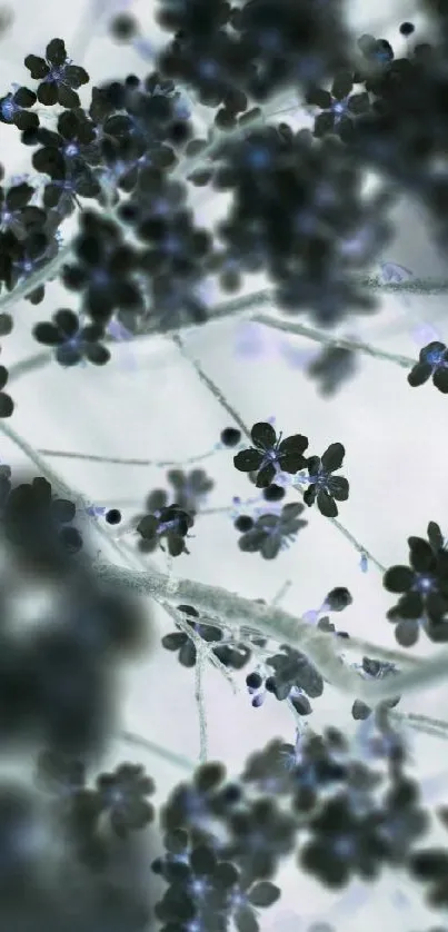 Delicate black flowers with a light gray background.