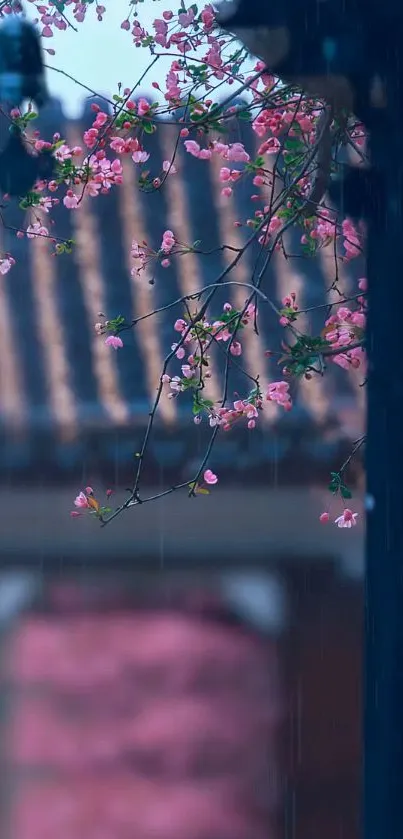 Pink blossoms with rain on a traditional roof backdrop.