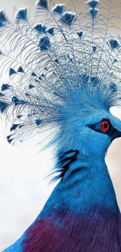 Elegant blue bird with feather crown in nature wallpaper.