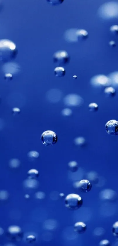 Blue bubbles floating in elegant pattern.