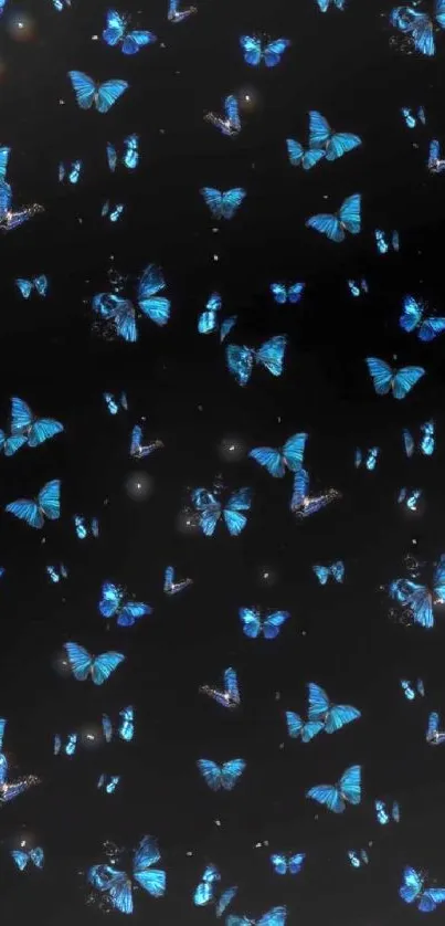 Blue butterflies on a black background mobile wallpaper.