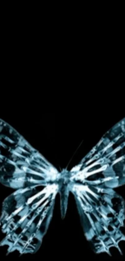 Elegant blue butterfly on dark background wallpaper.